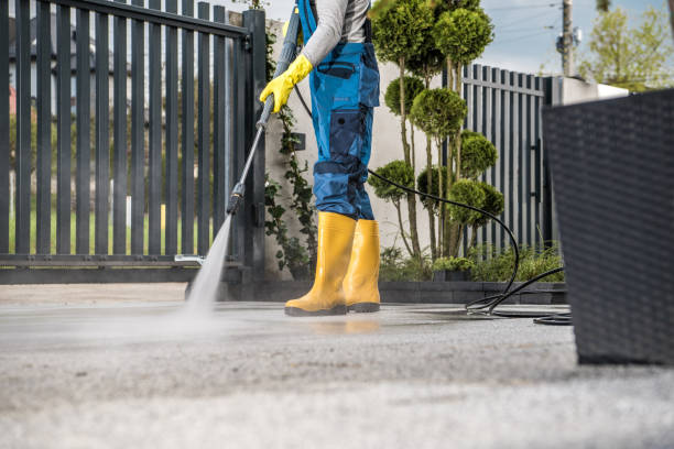 Best Soft Washing  in Dublin, CA
